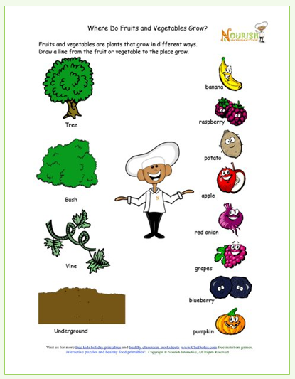 kids printable learning about how food grows free gardening printable worksheets